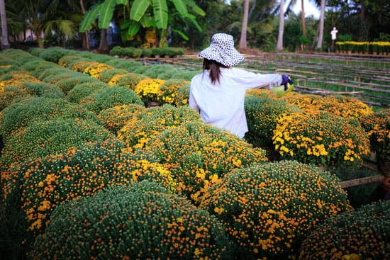 Reducing Pollen Exposure While Gardening